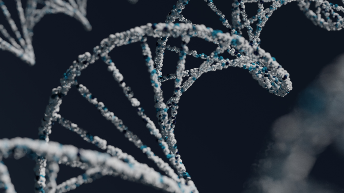 Awards for Research into Genetics of Clostridium and Mesenchymal Stem Cell Research
