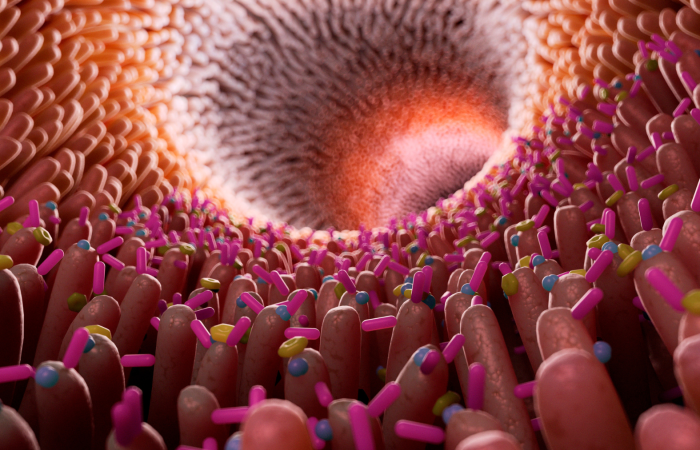 The human microbiome