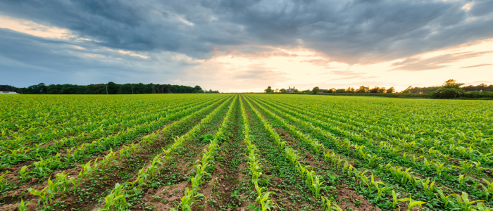 Revolutionising Agriculture with Sustainable Solutions