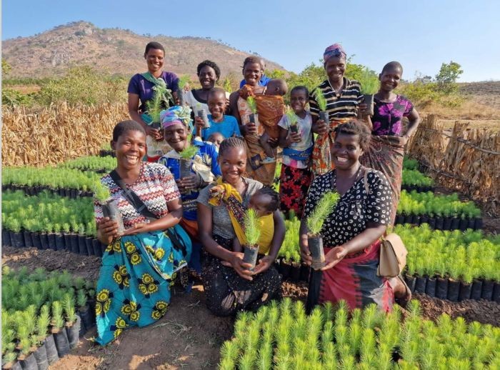 Planting Trees Across the World