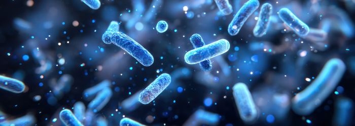 Weight-Loss Injection Alternatives: The Promising Role of Bacteria in Obesity Treatment