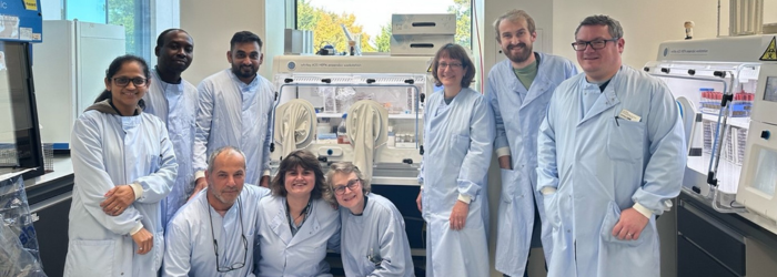 Investigating the Role of Membrane Vesicles in Pathogenesis and Gene Transfer