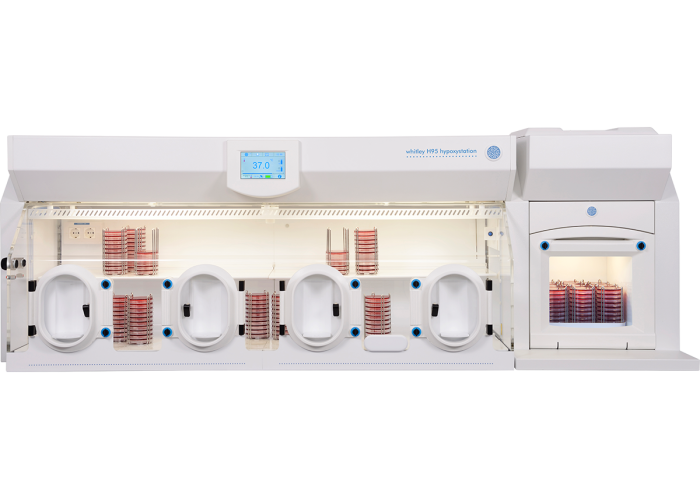 Introducing the Whitley H95 Hypoxystation
