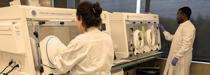 Two microbiologists using two Whitley M35 Workstations in Wageningen, The Netherlands