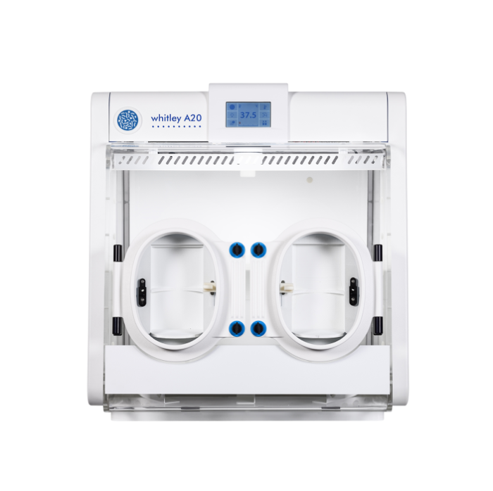 Introducing the A20 Anaerobic Workstation: Gas-efficient, Space-saving & Cost-effective