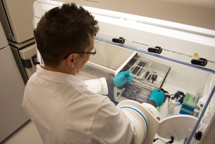 Range of Large Hypoxic Workstations to Accommodate Laboratory Instruments