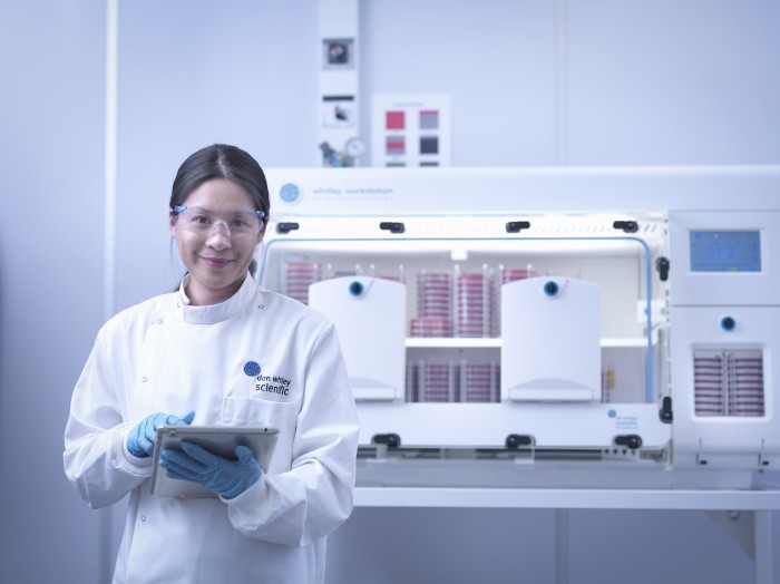 How Long Do Conditions Last in a Whitley Anaerobic Workstation?
