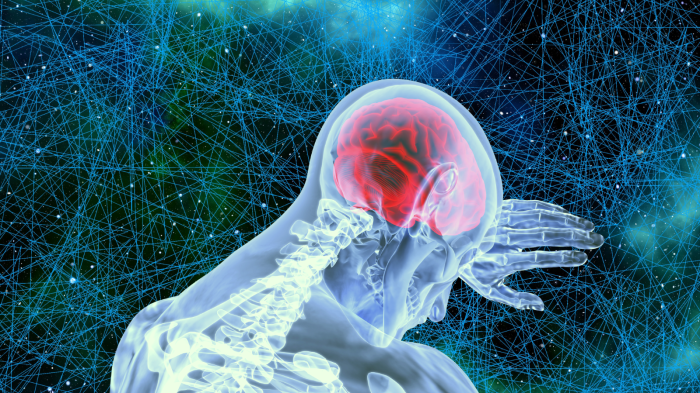 The Brain and Hypoxia