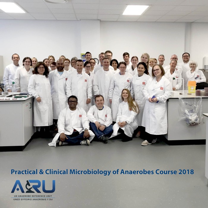 Practical and Clinical Microbiology of Anaerobes Course 2019