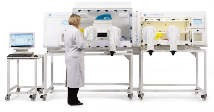 Gynecological Cancer Research & Stem Cell Research in H35 & i2 Combination