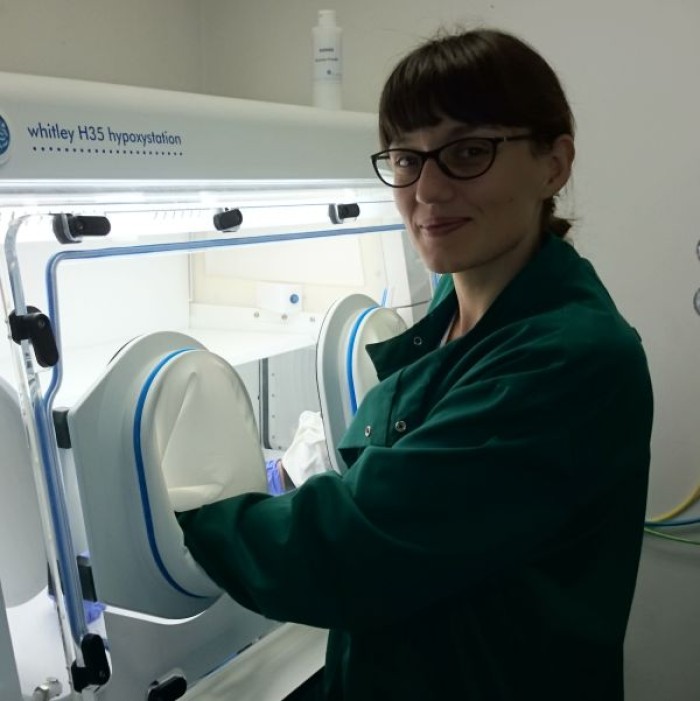 Hypoxystation Used in Lung Cancer Research