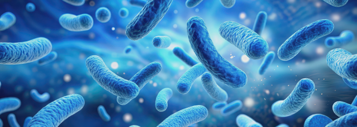 Human gut microbiome - Don Whitley Scientific