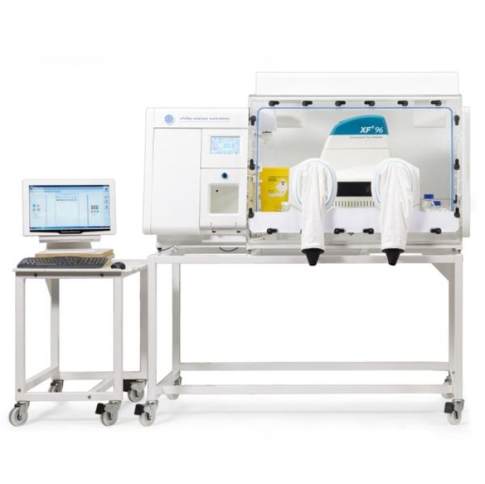 NEW Whitley i2 Instrument Workstation