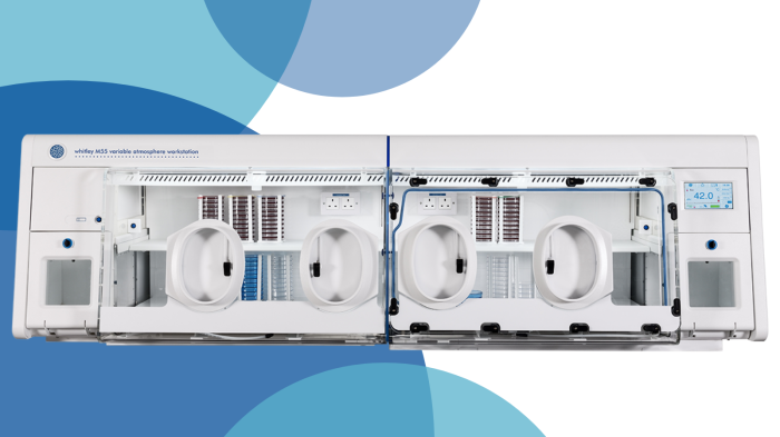 Dual Temperatures For Your Camplyobacter