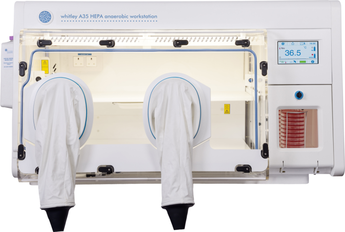 Whitley A35 HEPA Workstation