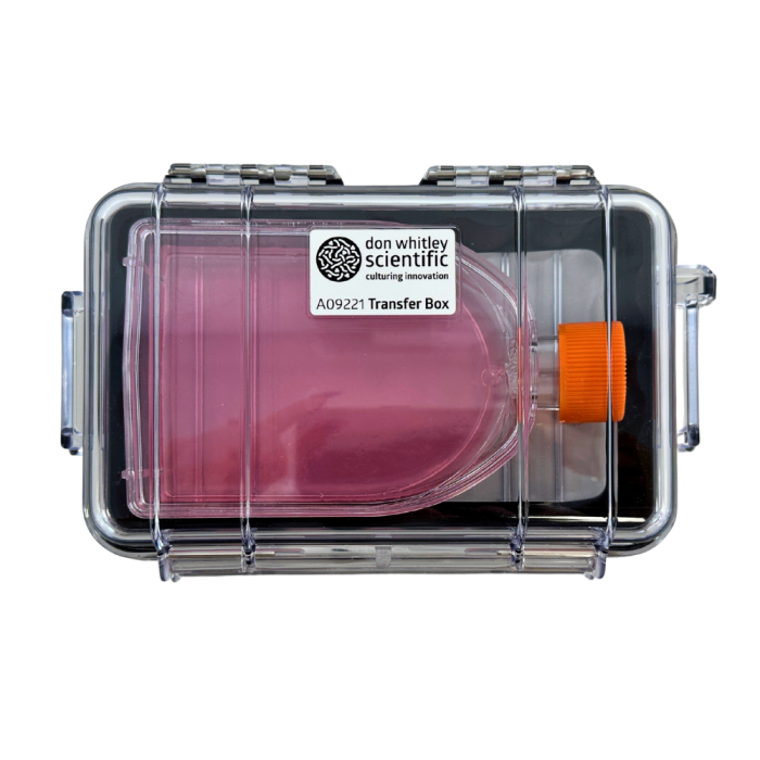 Whitley Transfer Box Flask