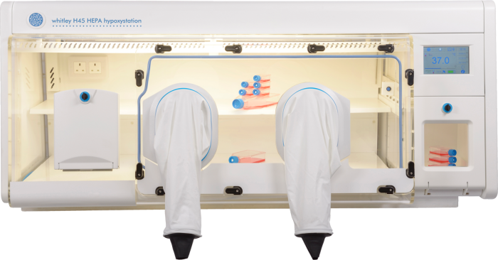 Whitley H45 HEPA Hypoxystation Option