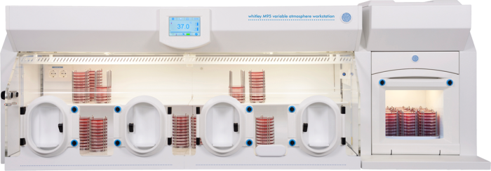 Whitley M95 HEPA Workstation