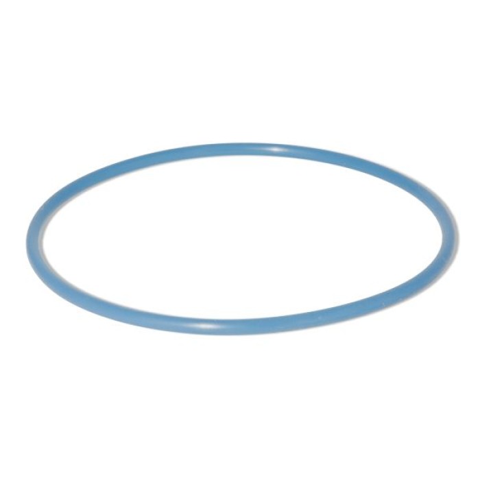 Sleeve Retaining O'Ring