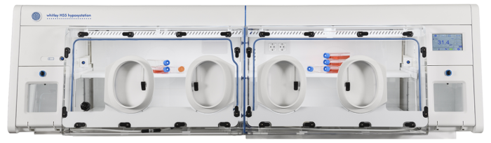 Whitley H55 Hypoxystation