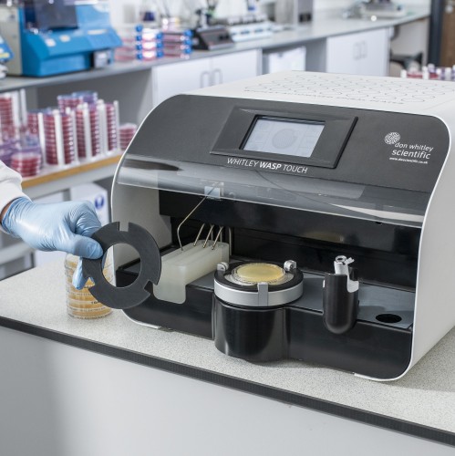 WASP Touch 55mm Plate Option