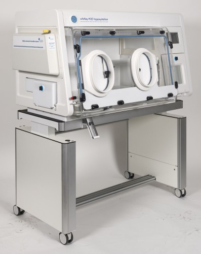Whitley Height Adjustable Trolley