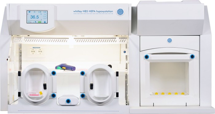 Whitley H85 HEPA Hypoxystation