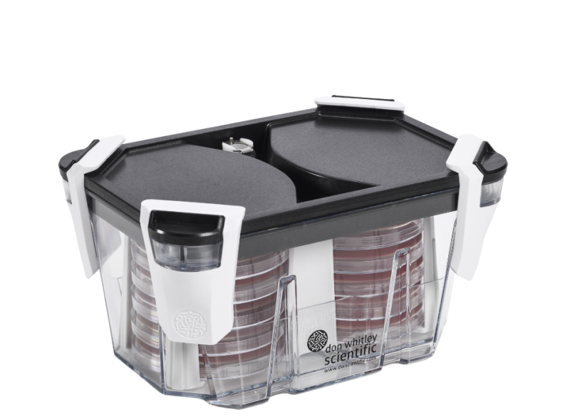 Whitley Incubation Box