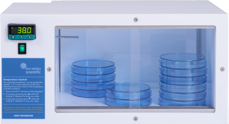 Mini Incubator