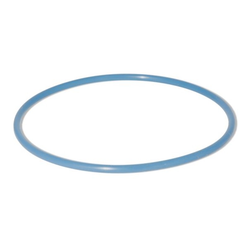 Sleeve Retaining O'Ring