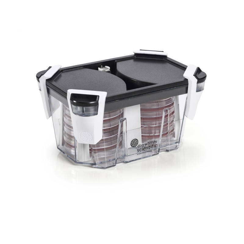 Whitley Incubation Box