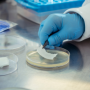 Wound dressing testing