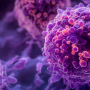 World Cancer Research day 25