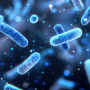 Weight-Loss Injection Alternatives: The Promising Role of Bacteria in Obesity Treatment