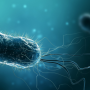 Impact of Total Laboratory Automation on Urine Culture Turnaround Time: Comparative Studies