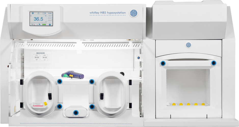 Whitley H85 Hypoxystation