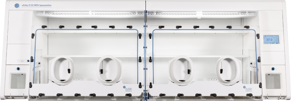 Whitley H155 HEPA Hypoxystation