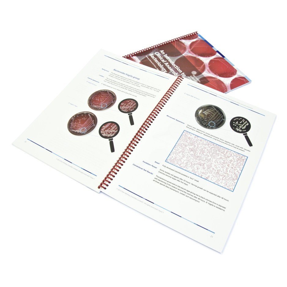 Introduction to Clinical Anaerobic Bacteriology