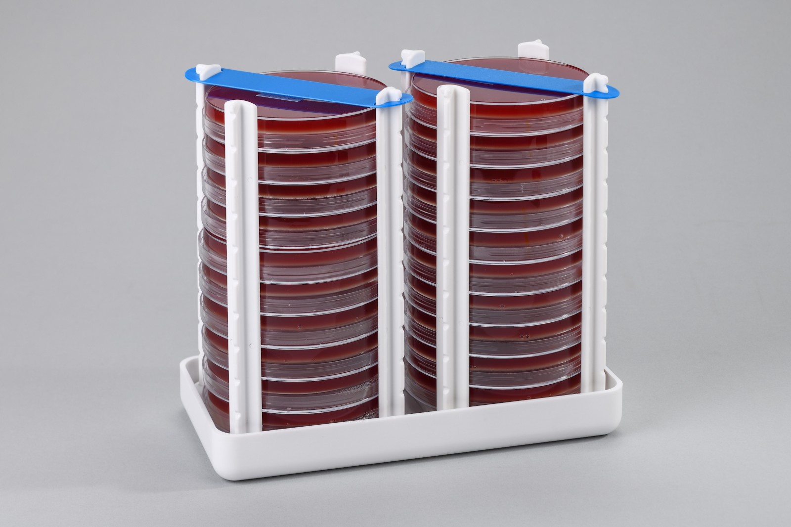 Set of 10 Petri Dish Holders