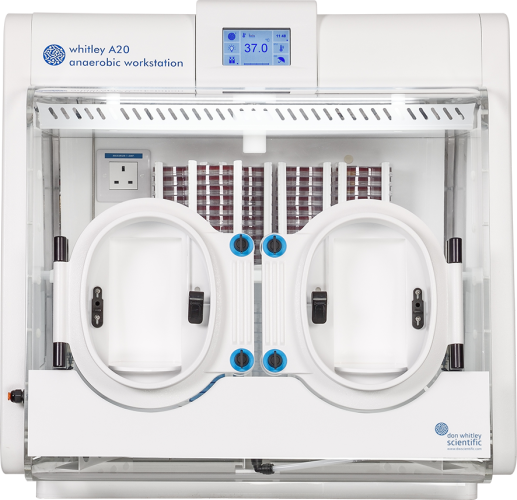 Whitley A20 Workstation image