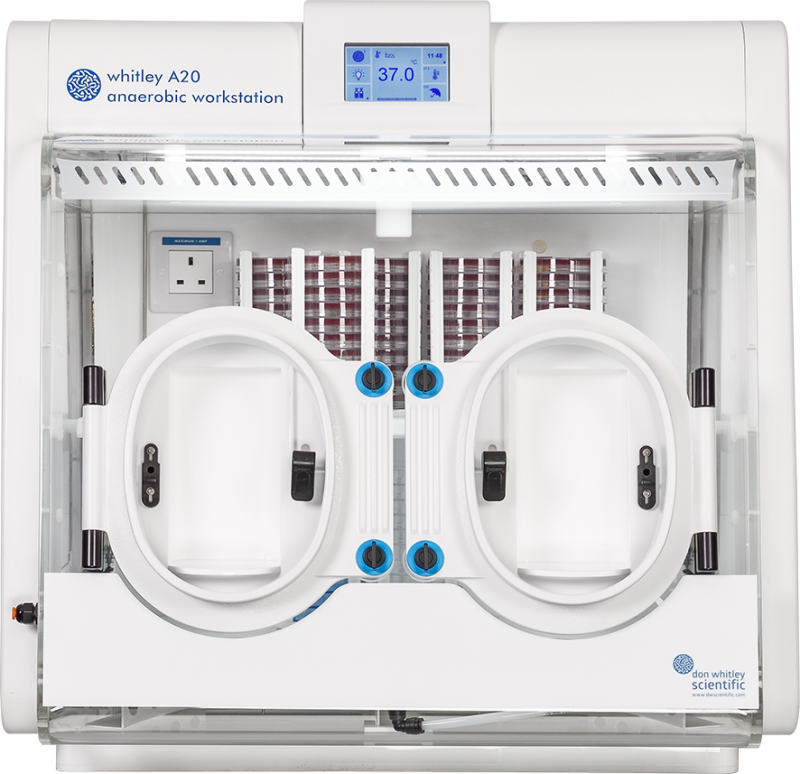 Whitley A20 Workstation