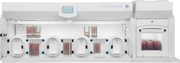 Whitley A95 Workstation image