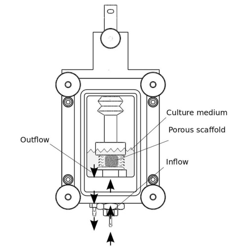 Compression-Perfusion Grip image