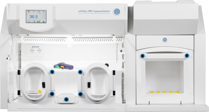 Whitley H85 Hypoxystation image
