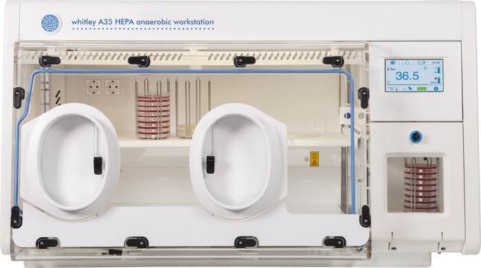 New Scientific Paper: Isolation of Anaerobic Bacteria From the Digestive Tract of Chickens