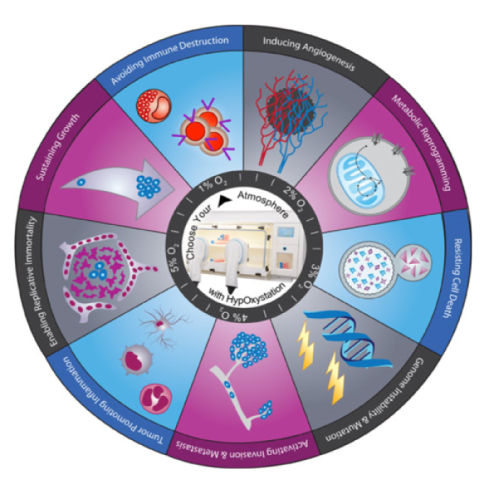 The Hallmarks of Cancer
