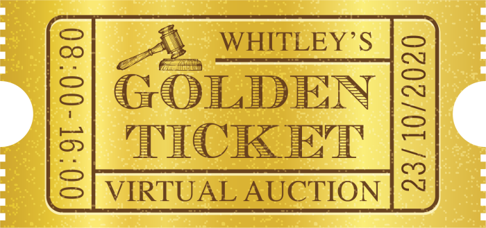Virtual Auction for Refurbished Media Preparator | 23rd October 2020
