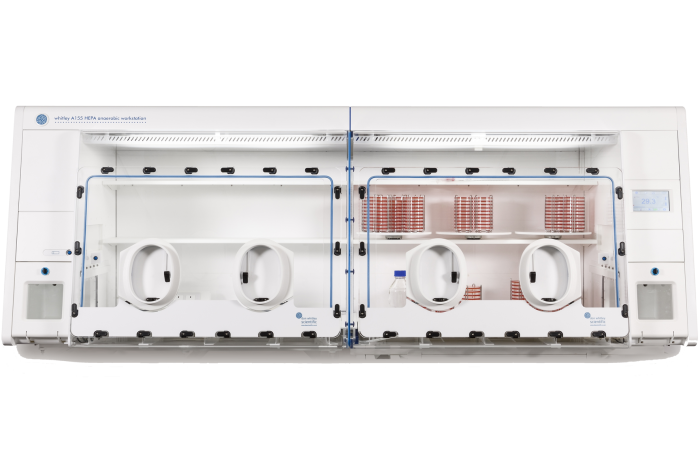 Introducing the Largest Whitley Workstation: the A155 HEPA