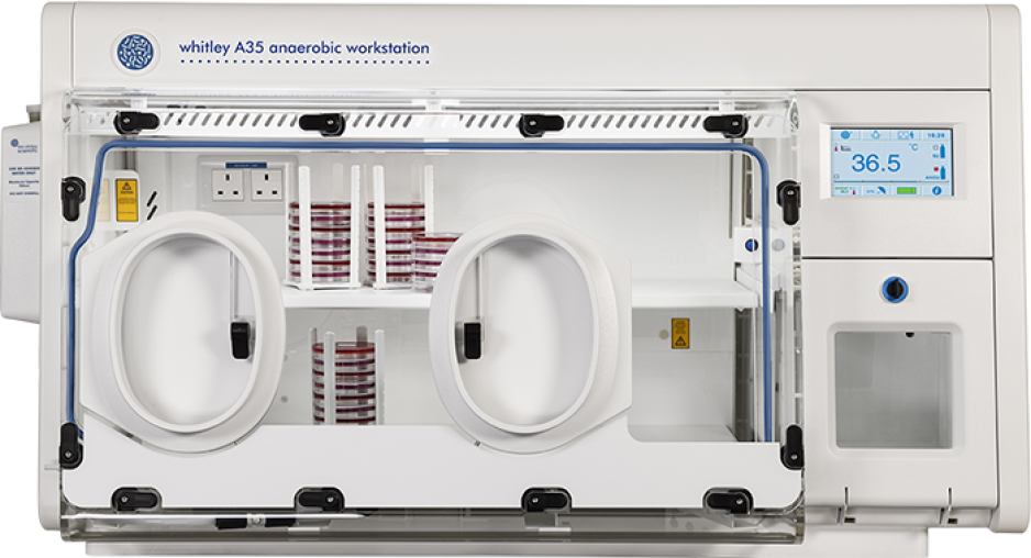 Whitley A35 Workstation