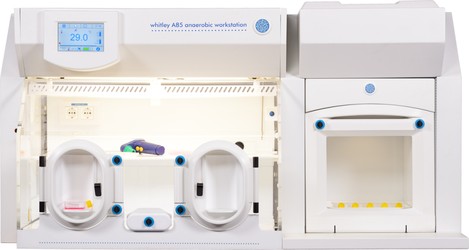 Whitley A85 Workstation